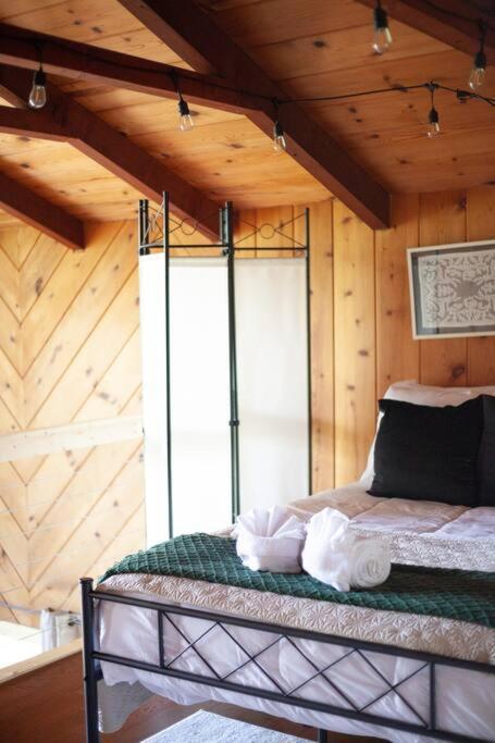 Family Cabin Near Smoky Mtn Entrance Nantahala Robbinsville Luaran gambar