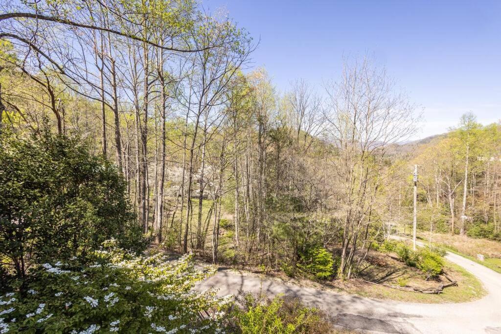 Family Cabin Near Smoky Mtn Entrance Nantahala Robbinsville Luaran gambar